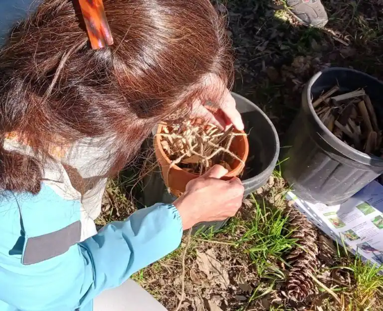 Goûter et bricolage – Petit Gîte à insectes