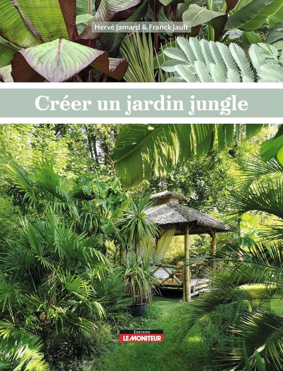 Le jardin Jungle – Rencontre avec Hervé Jamard