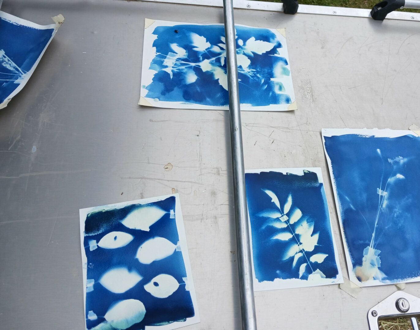 Atelier Cyanotype