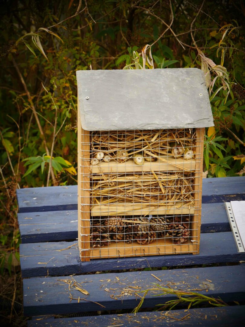 Bricolage bois – Refuges à insectes
