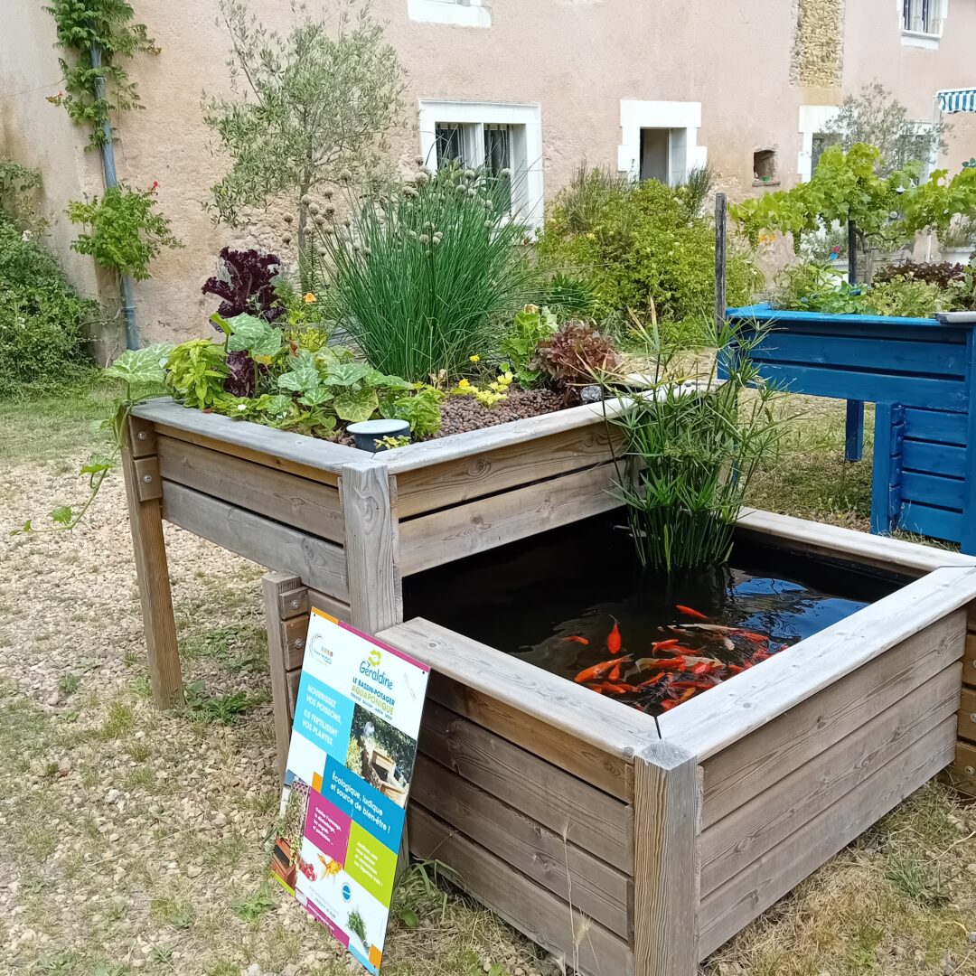 Découverte de l&rsquo;aquaponie