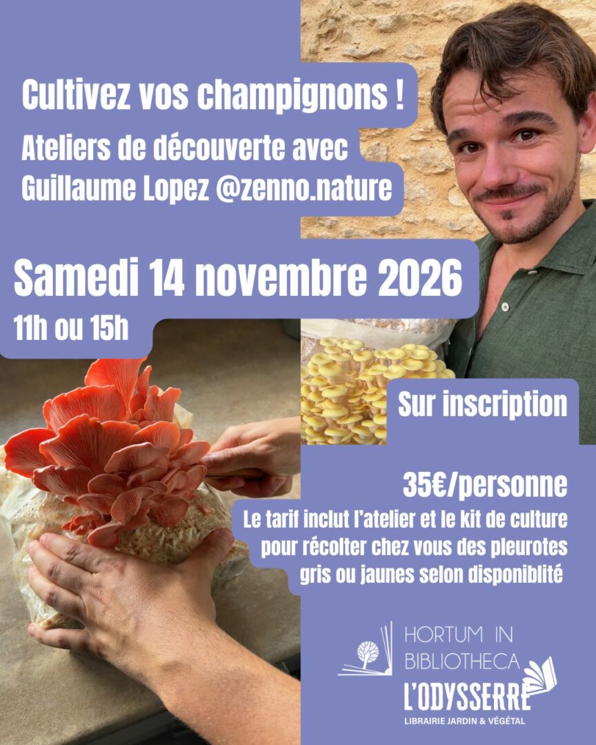 Cultivez les champignons